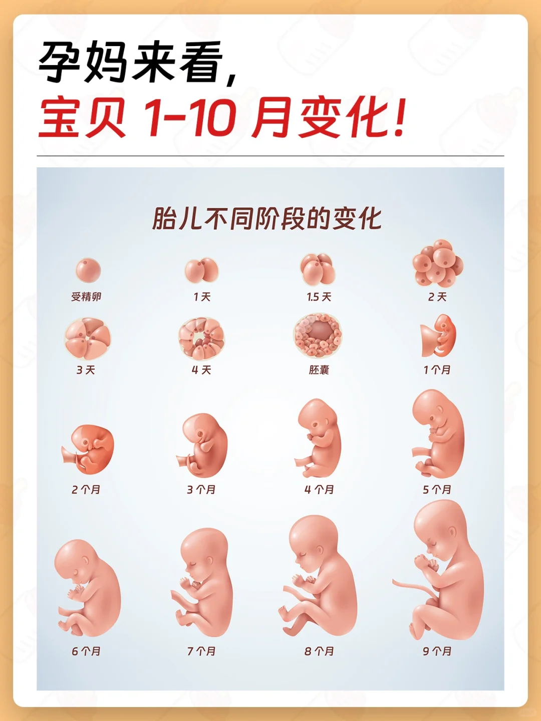 很奇妙🌟🌟宝宝1-10🈷️变化,哪里有代生试管